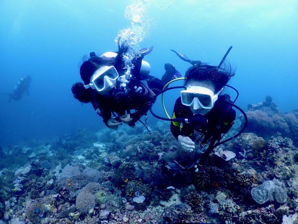 Pamanilao And Padoy'S Dive Camp Otel Batangas Dış mekan fotoğraf
