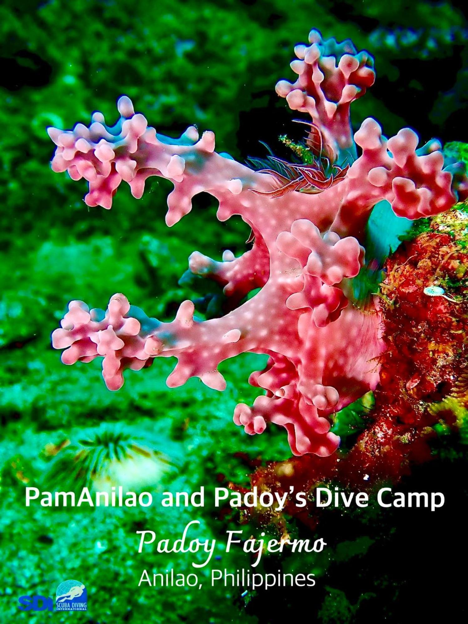 Pamanilao And Padoy'S Dive Camp Otel Batangas Dış mekan fotoğraf