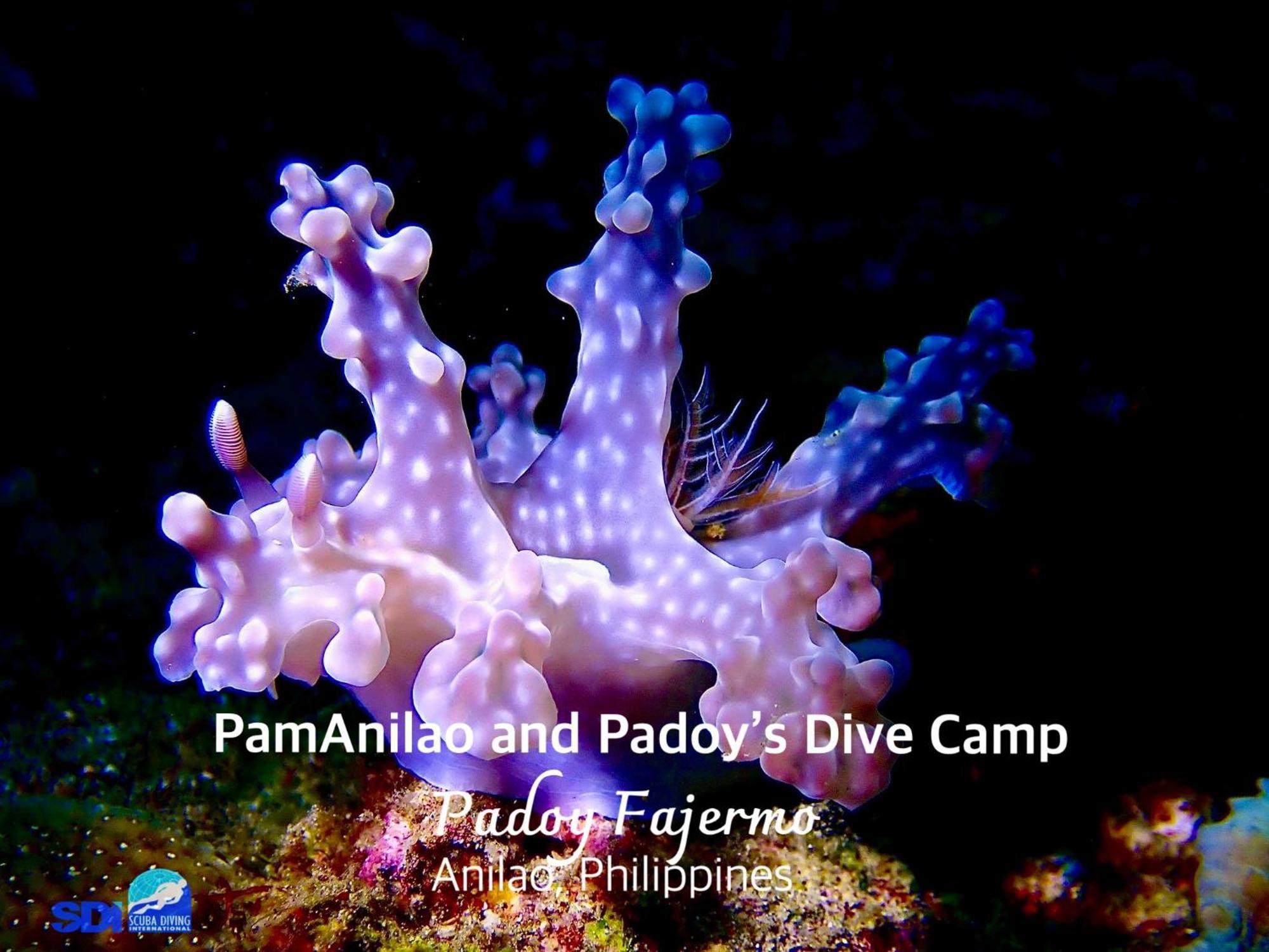 Pamanilao And Padoy'S Dive Camp Otel Batangas Dış mekan fotoğraf