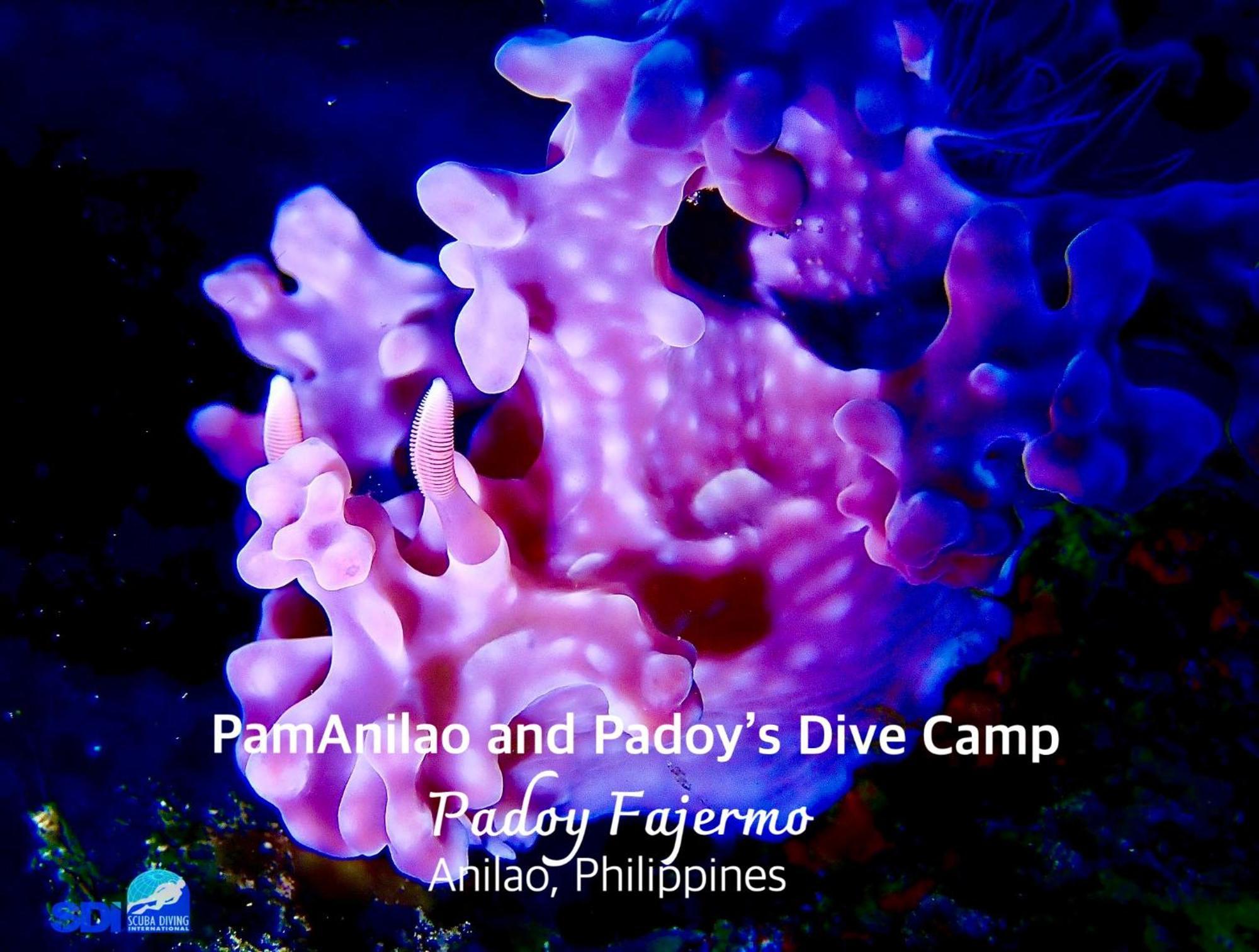 Pamanilao And Padoy'S Dive Camp Otel Batangas Dış mekan fotoğraf