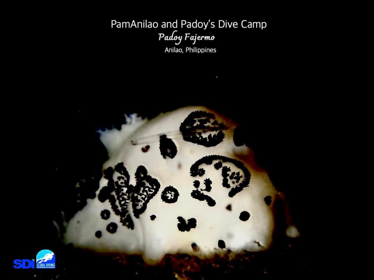 Pamanilao And Padoy'S Dive Camp Otel Batangas Dış mekan fotoğraf