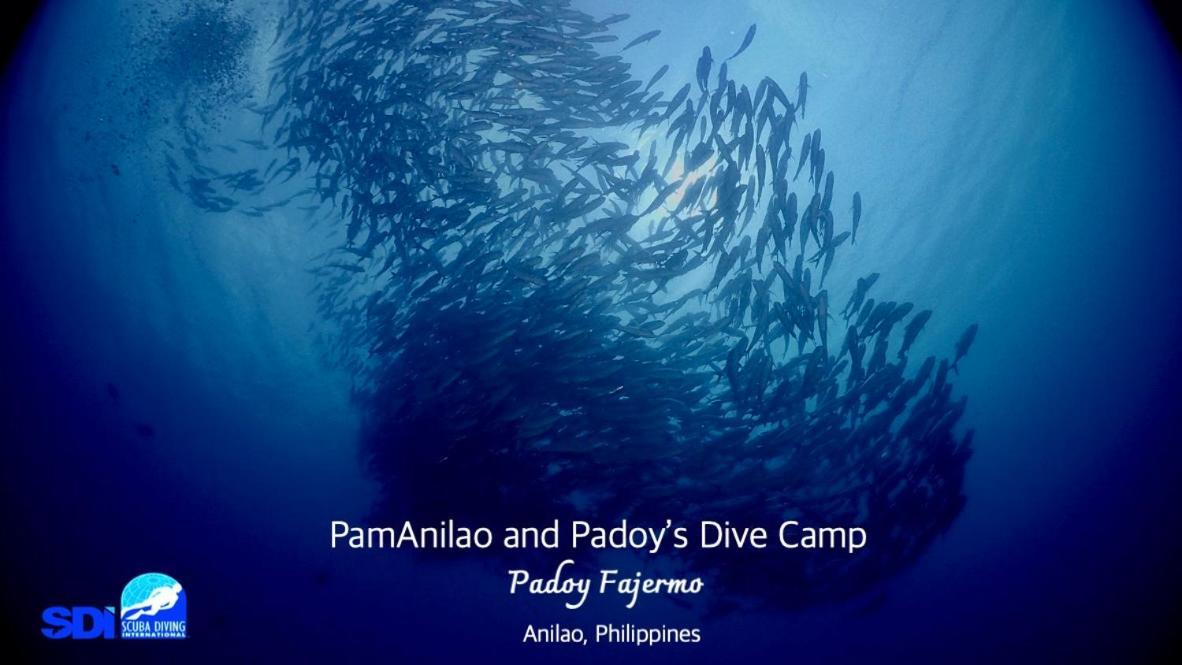Pamanilao And Padoy'S Dive Camp Otel Batangas Dış mekan fotoğraf